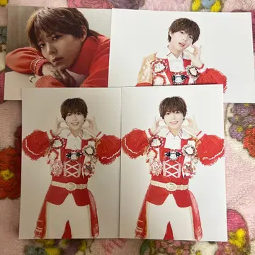 팬더드래곤  엽서 파라곤