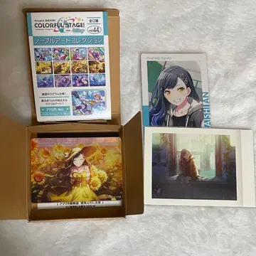 프로세카 시라이시 안 묶음 판매