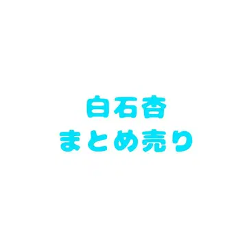 프로세카 시라이시 안 묶음 판매