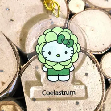 간사이 만박 일본관 한정판 헬로키티 아크릴 키링