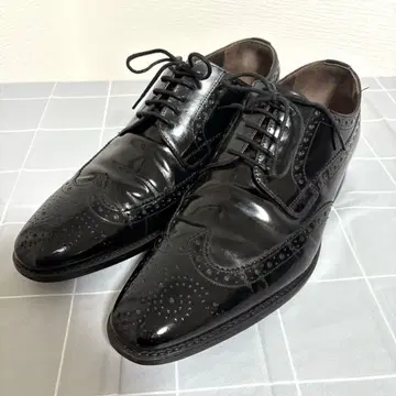 REGAL imperial Grade KR11 윙팁 25