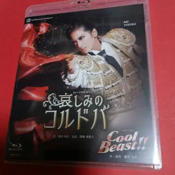 다카라즈카 블루레이 유즈카 히카루