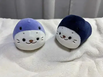 츠치노코탄 시로탄