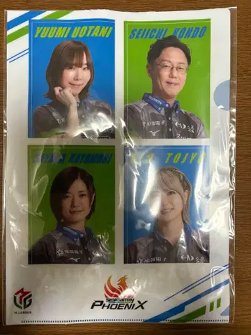 [ 즉시 구매 가능 ] 세가 피닉스 클리어 파일