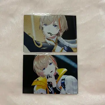 니지산지 니지 페스티벌 2025 후라 소토 브로마이드