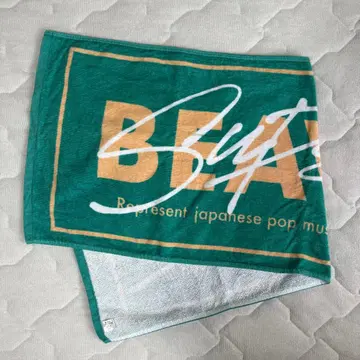 SUPER BEABER 비버 타월