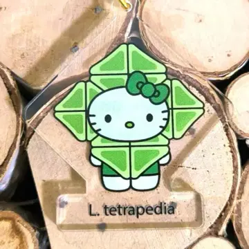 간사이 만박 일본관 한정판 헬로키티 아크릴 키링