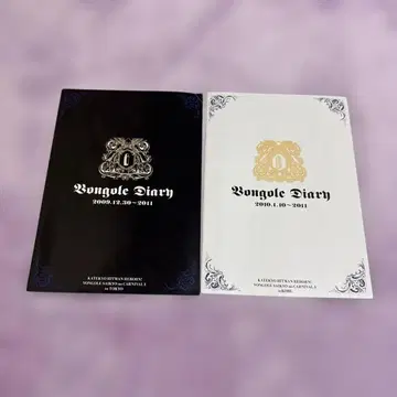 가정교사 히트맨 REBORN! 봉고레 최강의 카르네바레 팜플렛