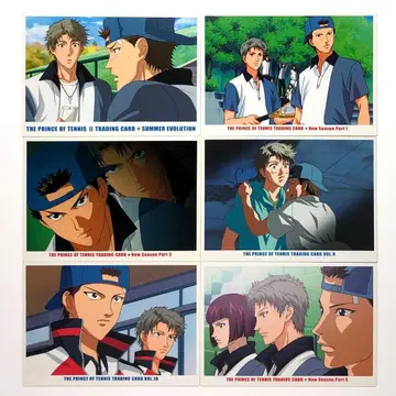 [ 히요테이 ] 테니스의 왕자님 시시도 료 호오쵸타로 트레이딩 카드 세트