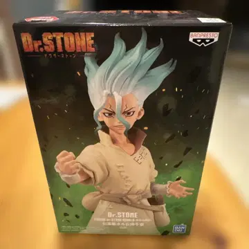Dr.STONE 이시가미 센쿠 피규어 약 15cm