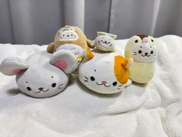 시로탄 묶음 판매