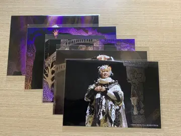 쿠루무 동화 Blu-ray 특전 무대 사진 5장 세트