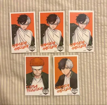 WIND BREAKER  벚꽃 츠노 츠케풍 카드