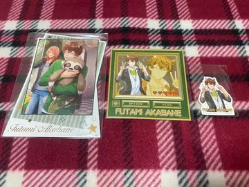 아이츄 쌍둥이 씨 세트