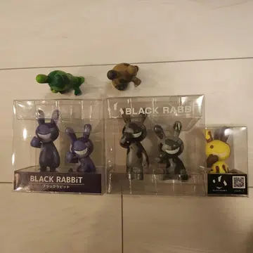 BLACK RABBiT 세트