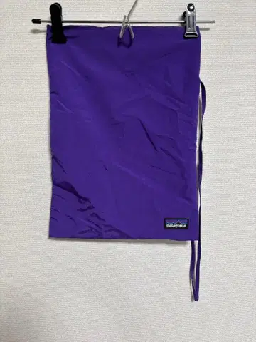 파타고니아 보라색 백