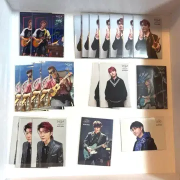 와카이 히로토 포토 카드 Mrs.GREENAPPLE 미세스 22장