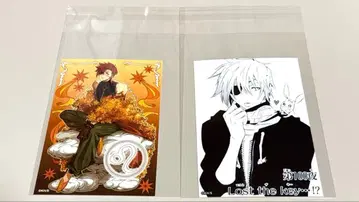 D.Gray-man 브로마이드 라비 2장 세트