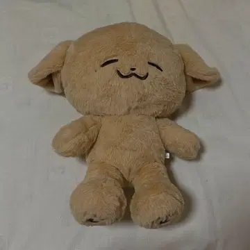 NCTDREAM 제노 포켓젠 40cm 봉제 인형