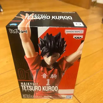 하이큐!! 쿠로오 테츠로 포징 피규어 01