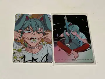 에이리언 스테이지 에이스테틸 토끼 시리즈 카드