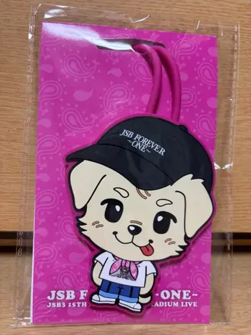 3대 JSB 15th FOREVER ~ONE~ 캐릭터 고무 태그