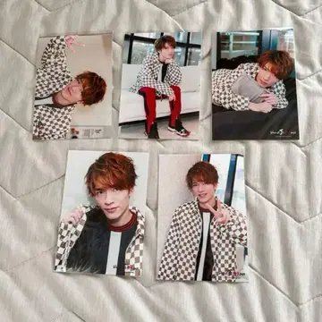 후카사와 타츠야 공식 사진 (11장 세트)