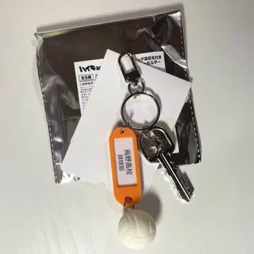 하이큐 트레이딩 고교명 포함 열쇠고리 카라스노 고교