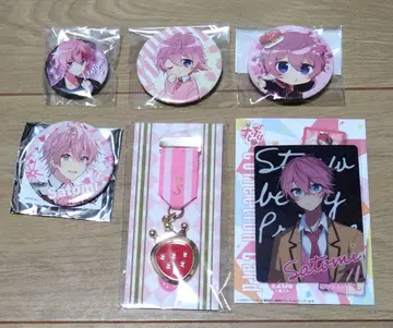 스토푸리 사토미 6점 묶음 판매