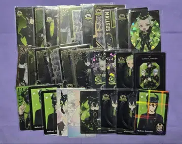 트위스테 카드 말레우스 세벡 묶음 판매