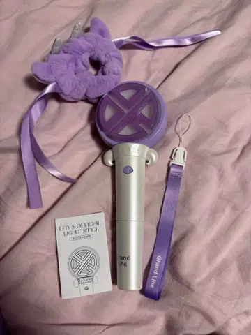 EXO 레이() 응원봉