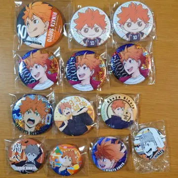 하이큐!! 히나타 쇼요 캔뱃지 묶음 판매