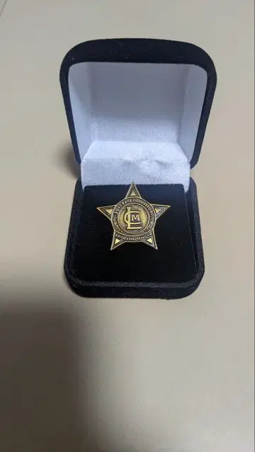 보트 레이스 비와코 모두의 콜로세움 핀 배지