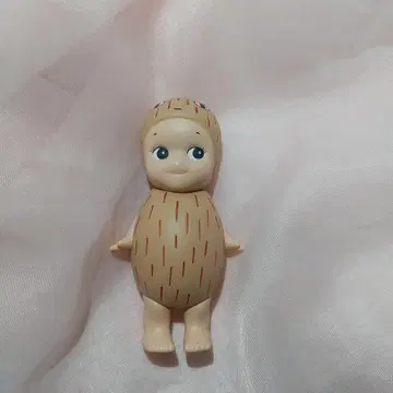 소니 엔젤 도나 윌슨 시크릿 sonny donna