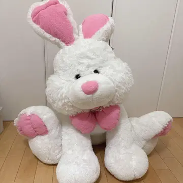 코스트코 토끼 봉제 인형