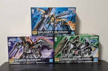 [ 악의 3병기 세트 ] HG 칼라미티 레이더 포비든 건담