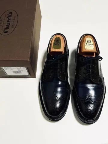 별주품 처치 그래프 폴리쉬드 바인더카프 8 26.5