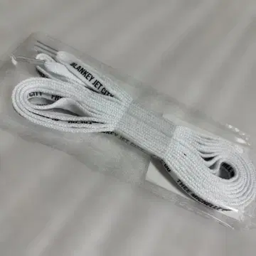 블랑키 제트 시티 미셸 건 엘리펀트 슈레이스