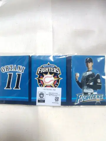 홋카이도 일본햄 파이터즈 시절 오타니 쇼헤이 파타파타 접착 메모지