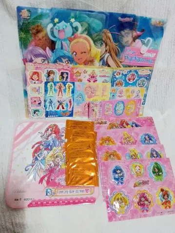 프리큐어 과거작의 여러 가지 세트