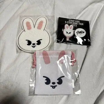 straykids 리노 FC 복권 코스터 묶음 판매