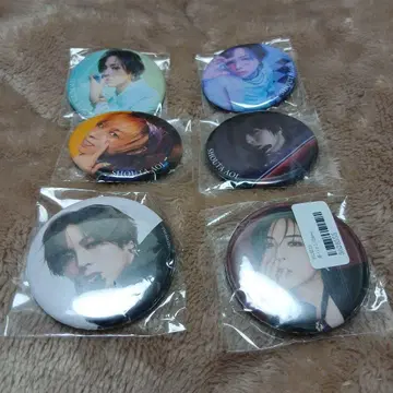 아오이 쇼타 캔뱃지 6개 세트