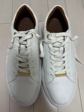 AOURE DEVICE1 스니커즈 악어 스탬프 WHT /27.5