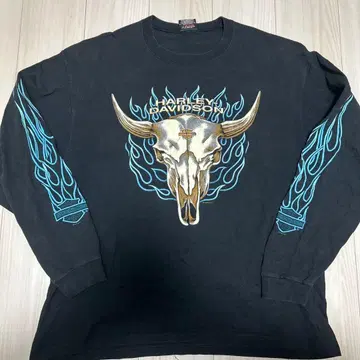 상태 좋음 harley davidson 블루 프레임 버팔로 스컬