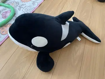 범고래 봉제 인형 나고야항 수족관 봉제 인형 복권 2등