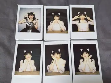 와-스타 사카모토 하즈키 폴라로이드