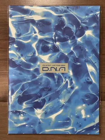 A! group D.N.A 투어 팜플렛