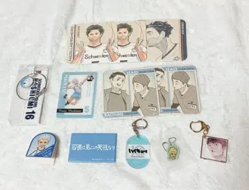 하이큐!! 카모메다이 고교 호시우미 코라이 굿즈 묶음 판매