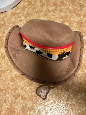 디즈니랜드 우디 팬 캡