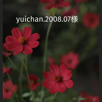 [ yuichan.2008.07님 ] BTS 메모장 묶음